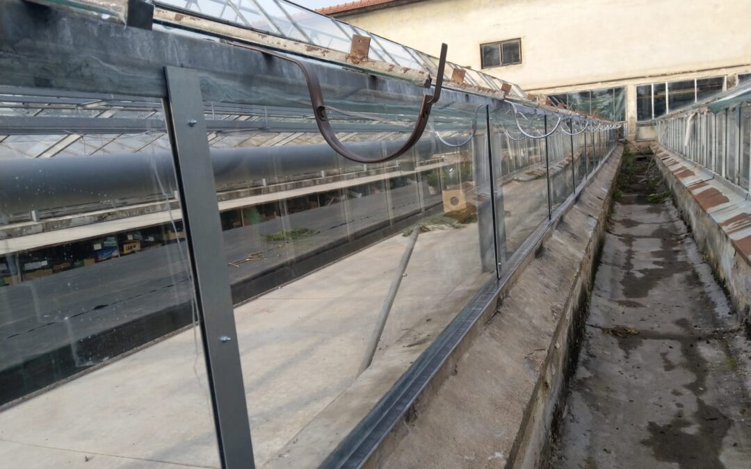 Greenhouse reconstruction